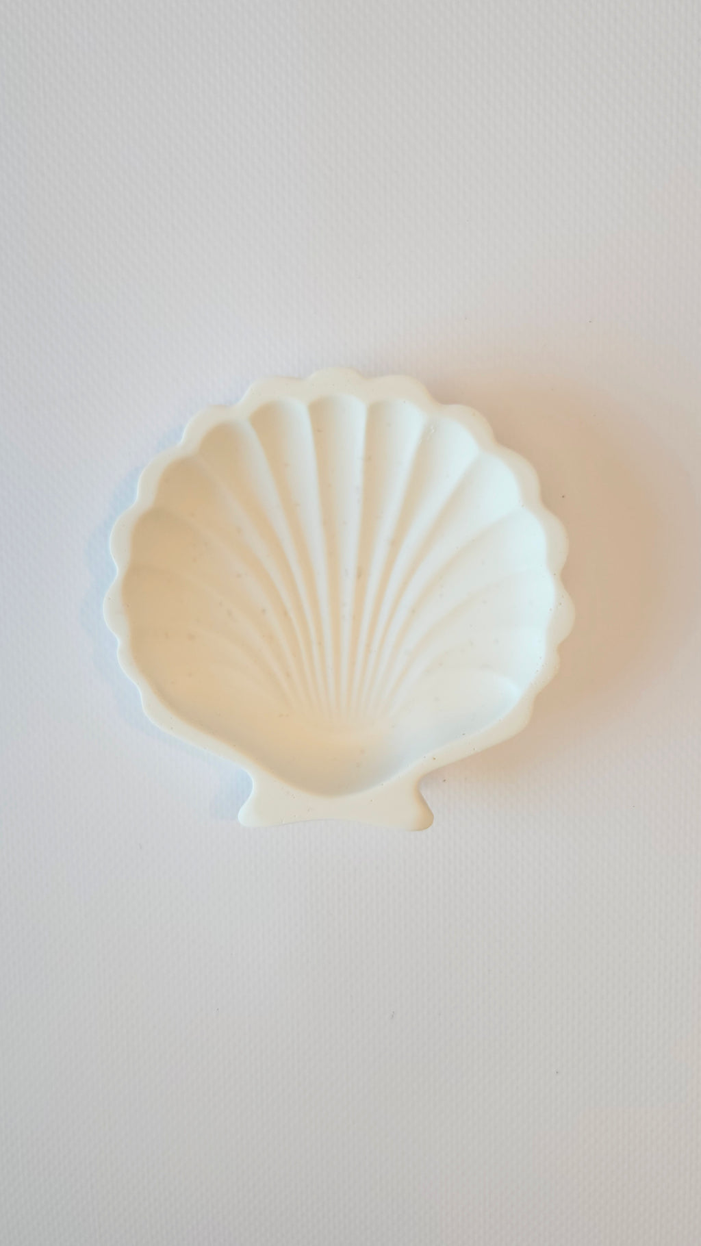 Podstawka gipsowa - muszelka